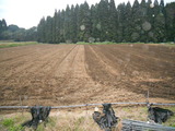 DSCN1774