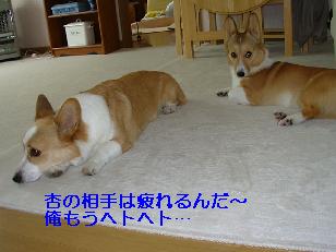 16ab0f11.jpg