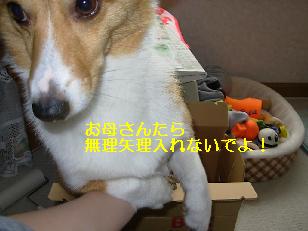 23844079.jpg