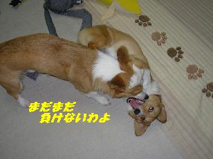 b2a04473.jpg