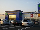 wondergoo