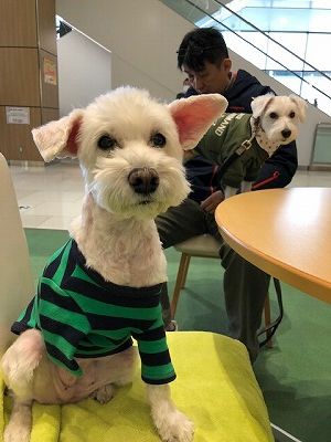 (1)2019年スタート