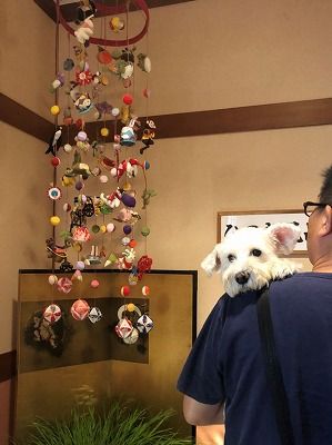(6)2018 にいがたのたび9月