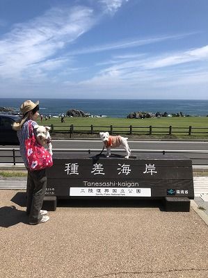 (10)2018夏のたび!