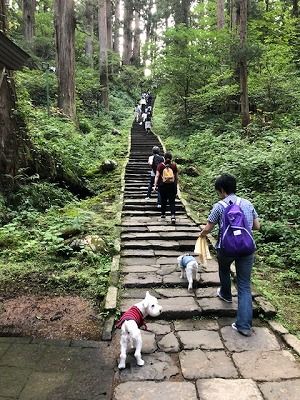 (13)2018にいがたのたび9月