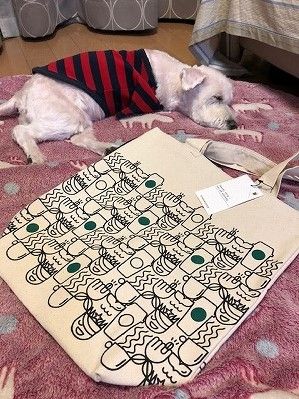 (1)2018 アメリカみやげのスタバだ