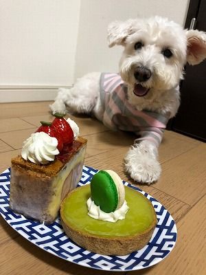 (2)2018 誕生日ティファニー