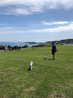 (1)2018夏のたび!