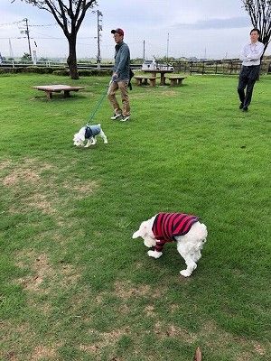 (4)2018 にいがたのたび9月