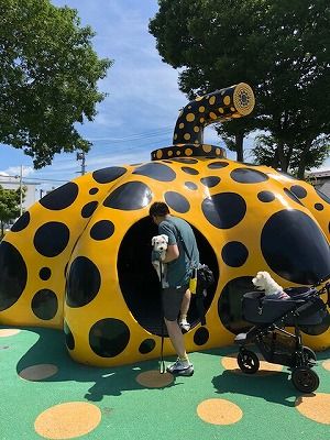 (14)2018夏休み!