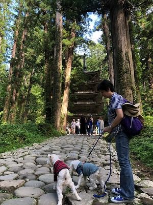 (16)2018にいがたのたび9月