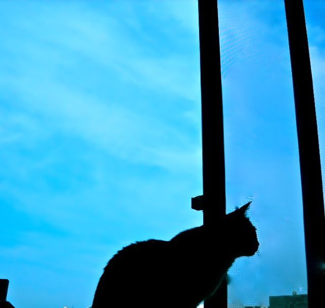 DSCN2233