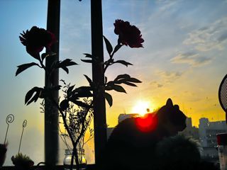 DSCN2262