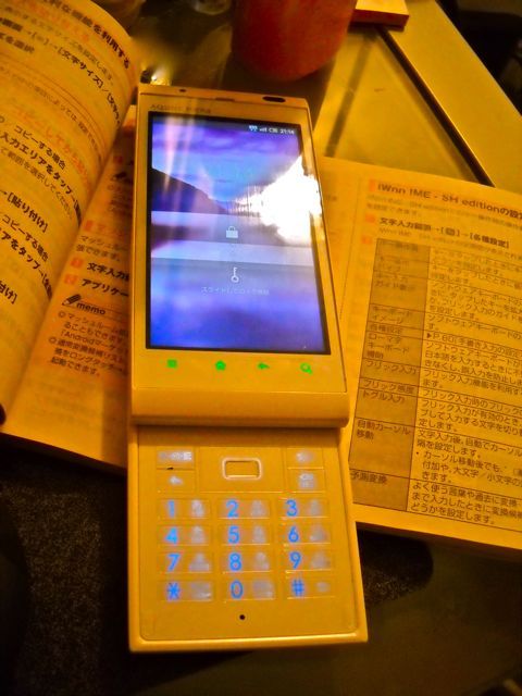 DSCN2347