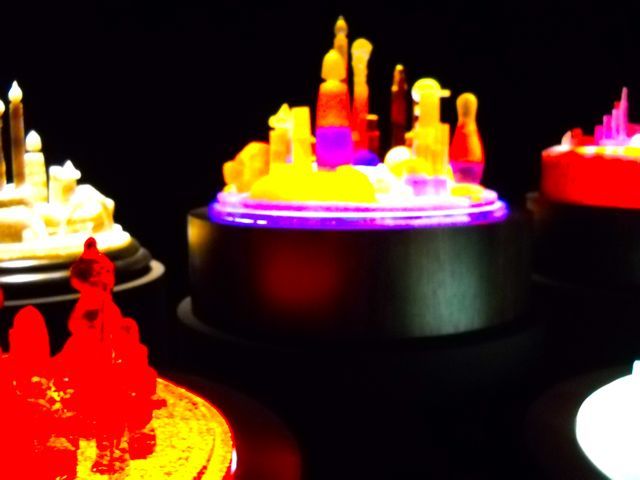 DSCN2365