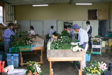 P1010838
