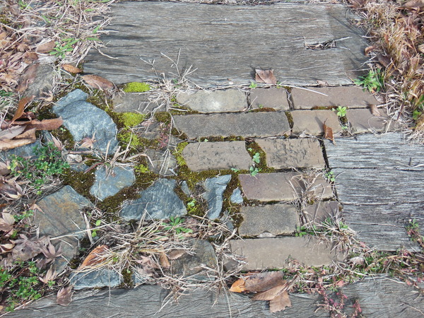 DSCN9819