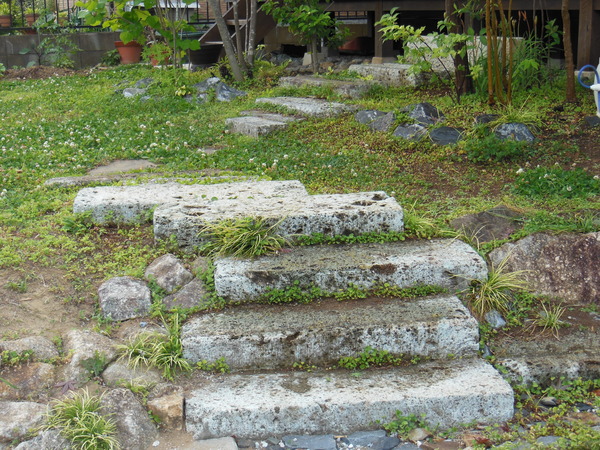 DSCN8974