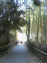 3b5f389a.jpg