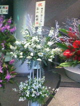 6db92345.jpg
