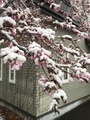 IMG_5471