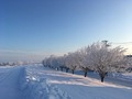 IMG_0972