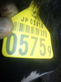 DVC00576