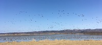 IMG_5447