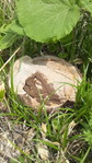 DVC00734