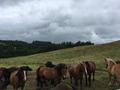 IMG_4040