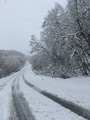 IMG_1387