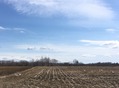 IMG_5359