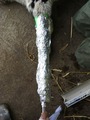 IMG_2011
