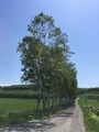 IMG_1602