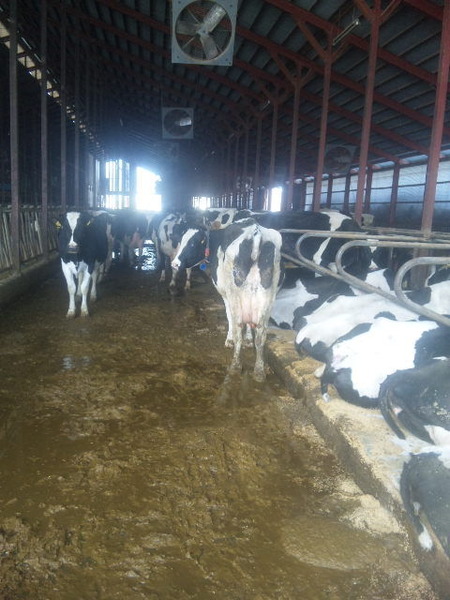 DVC00896