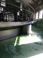 IMG_0359