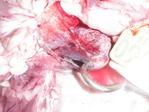 P5050006