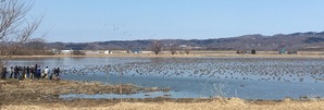 IMG_5440