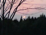 夕日