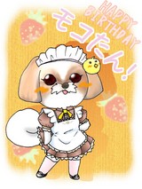 宝物です!