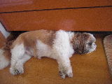 CIMG0092