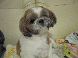CIMG0095