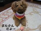 アルん家からもらったブタさんが最近のモコさんのブーム