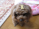 待て〜が長いってば、かあちゃん!!!