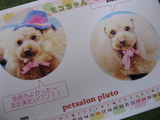 サロンで必ずくれる写真11月分