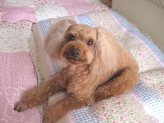 目元パッチリ〜