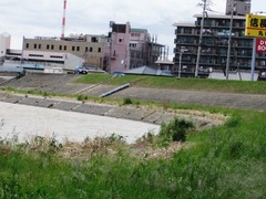 IMG_1771