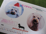 サロンで必ずくれる写真12月分