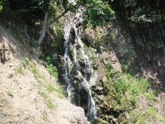 IMG_1914