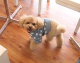 ウニンちゃん♪